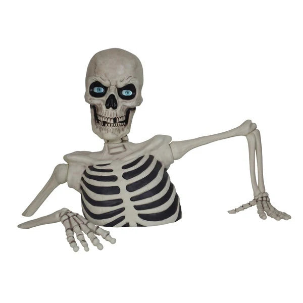 Massive Skeleton with Glowing Eyes & Spooky Sound