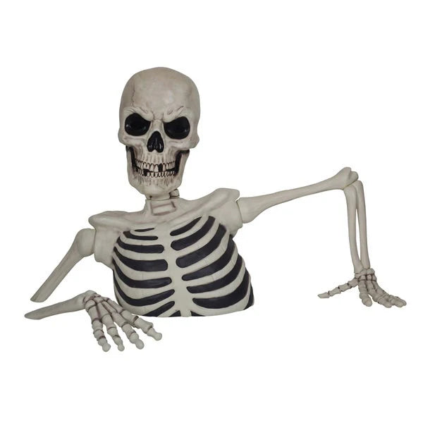 Massive Skeleton with Glowing Eyes & Spooky Sound