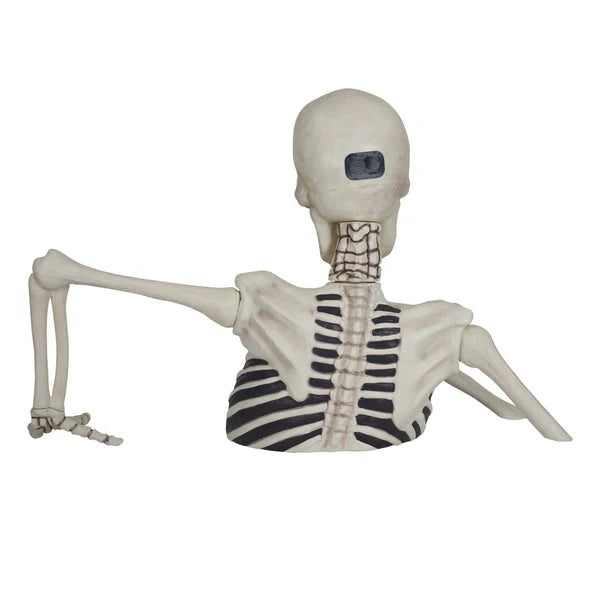 Massive Skeleton with Glowing Eyes & Spooky Sound