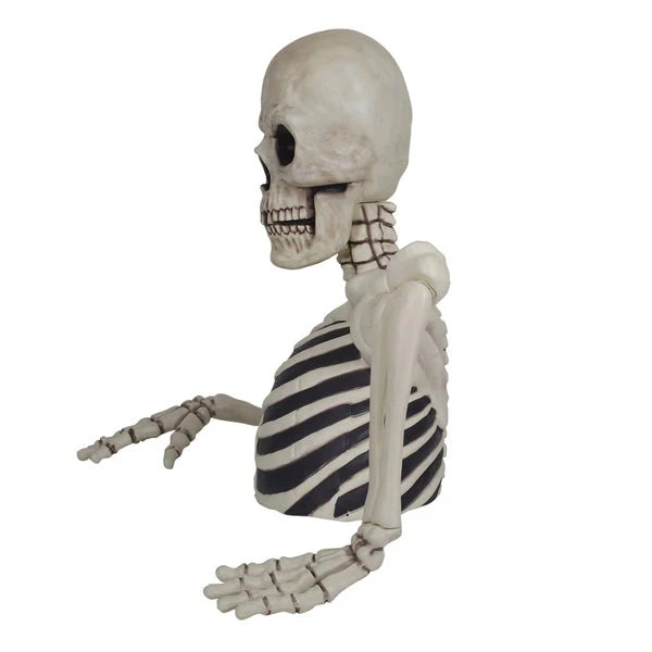 Massive Skeleton with Glowing Eyes & Spooky Sound