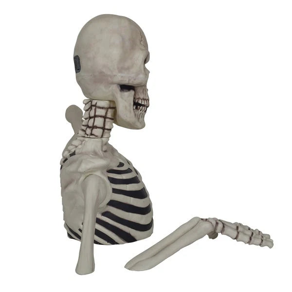 Massive Skeleton with Glowing Eyes & Spooky Sound